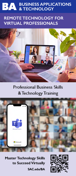 BA Remote Technology for Virtual Professionals brochure