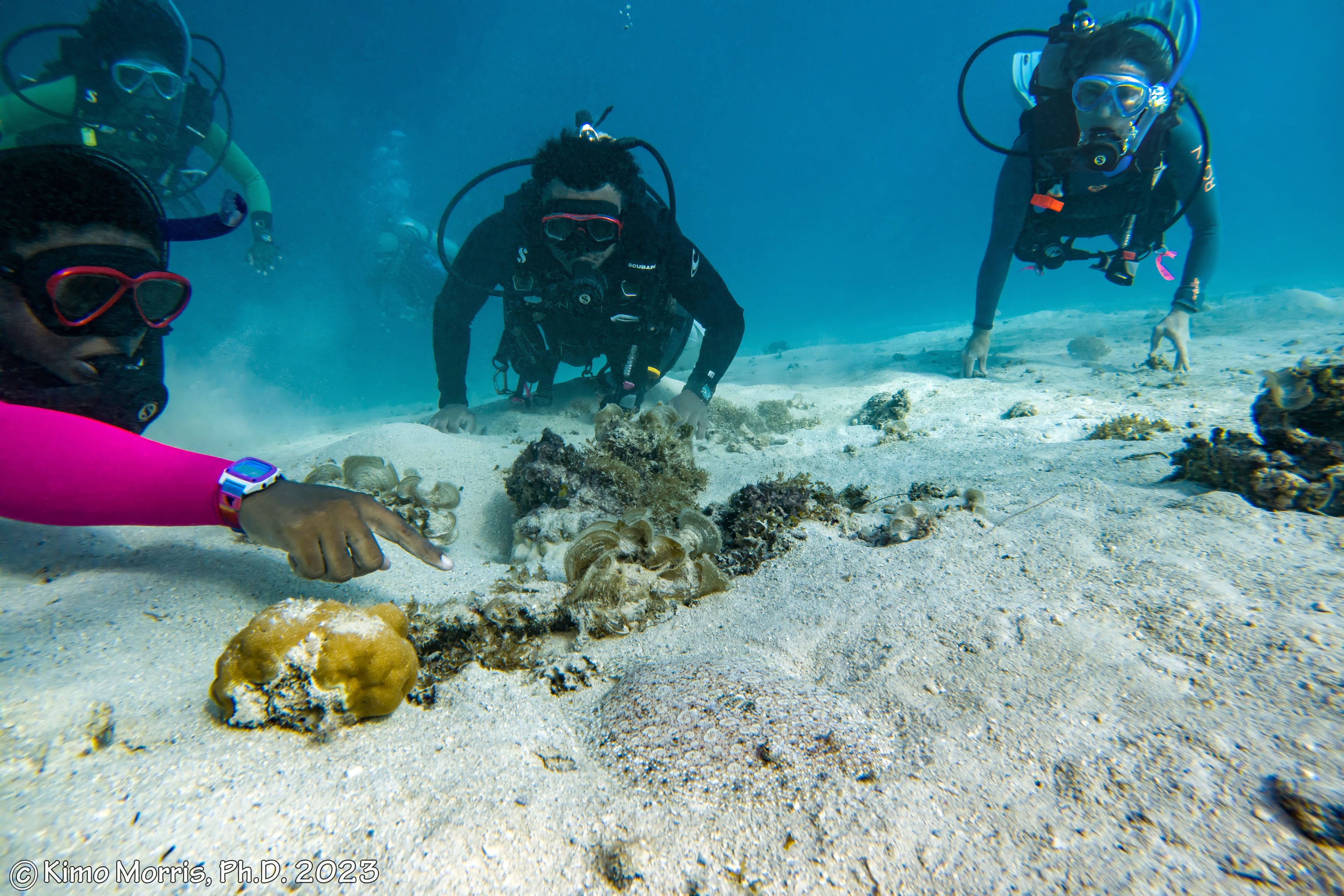 Ruth Viveros, Bailey Franco, and Dr. Morris observe coral while snorkeling