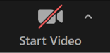Zoom Start Video Icon