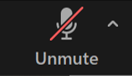 Zoom Unmute Icon