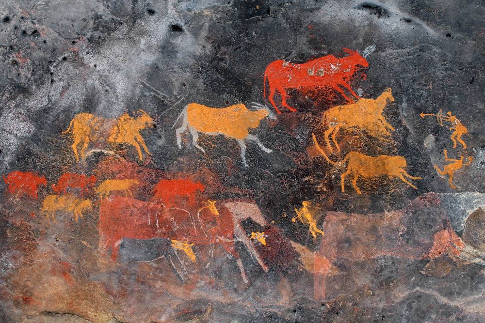 Cave paintings of horses and bison